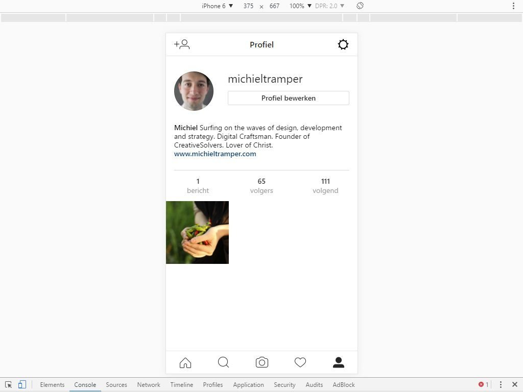 Instagram on a computer, but with a mobile view.